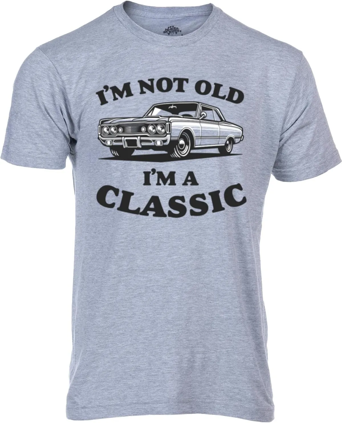 Funny T-Shirt Gifts for Dad | Fathers Day Humor Daddy Joke Regalos Tee Shirts for Men